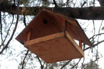 wooden bird feeders in the park on the tree