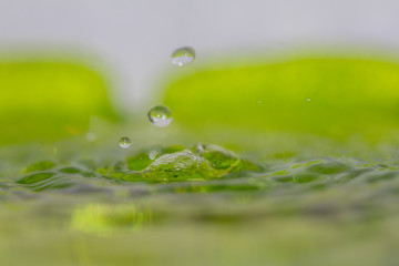 Drop of water in green background.