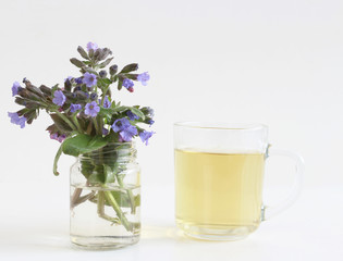 Herbal tea from Pulmonaria officinalis for herbal medicine and the flowers on white wood background. Minimalism. Beautiful spring wildflowers . Edible ,healthy .