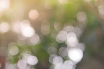 Obraz premium Defocused abstract nature background yellow leaves and bokeh lights. Royalty high-quality free stock image of natural blurred bokeh background from leaf with copyspace for text advertising design