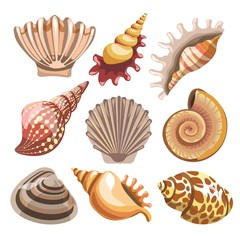 Seashell and clam isolated underwater creatures vector