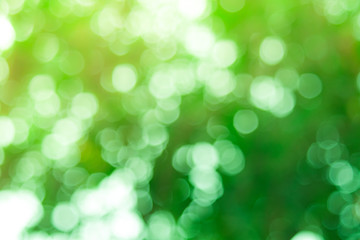 Obraz premium Defocused abstract nature background yellow leaves and bokeh lights. Royalty high-quality free stock image of natural blurred bokeh background from leaf with copyspace for text advertising design