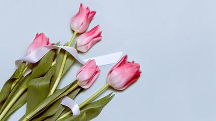Pink tulips flowers bouquet with white ribbon on blue background. Spring, Women's day, Mother's day, Valentines day card. Flat lay, top view. Romantic gift