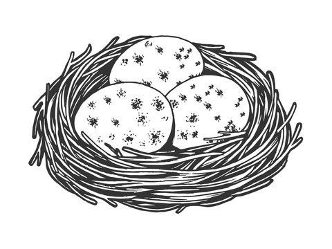 Nest with eggs sketch engraving vector illustration. Scratch board style imitation. Black and white hand drawn image.