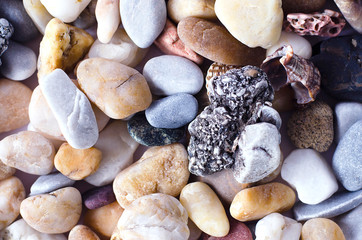 Closeup of many different sea stones.