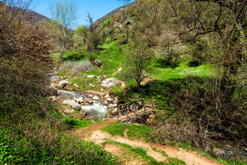 Fototapeta na wymiar Scenic small river and natural landscape in spring