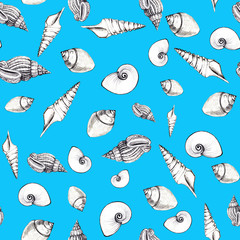 Seamless pattern of sea shells on blue background. Manual graphics. Design for backgrounds, wallpapers and packaging