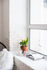 Springtime home decor with yellow daffodils on windowsill 