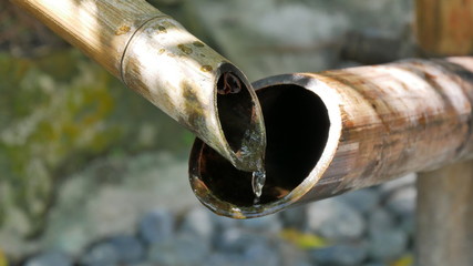 bamboo water pipe