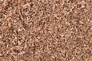 lots of brown wood saw dust
