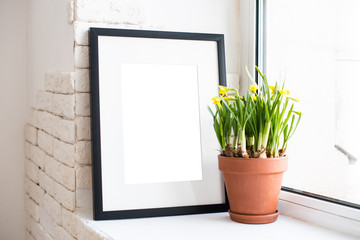 Springtime home decor with yellow daffodil flowers and frame isolated mock-up