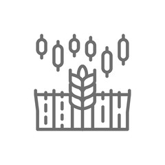 Wheat index growth chart, rising cost of food, stock market trading line icon.