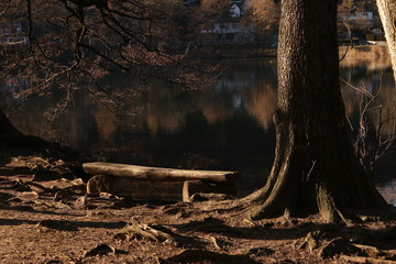 wooden bench on lake side Swiss Origlio