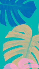 monstera color abstract background