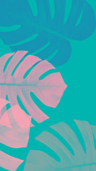 monstera color abstract background