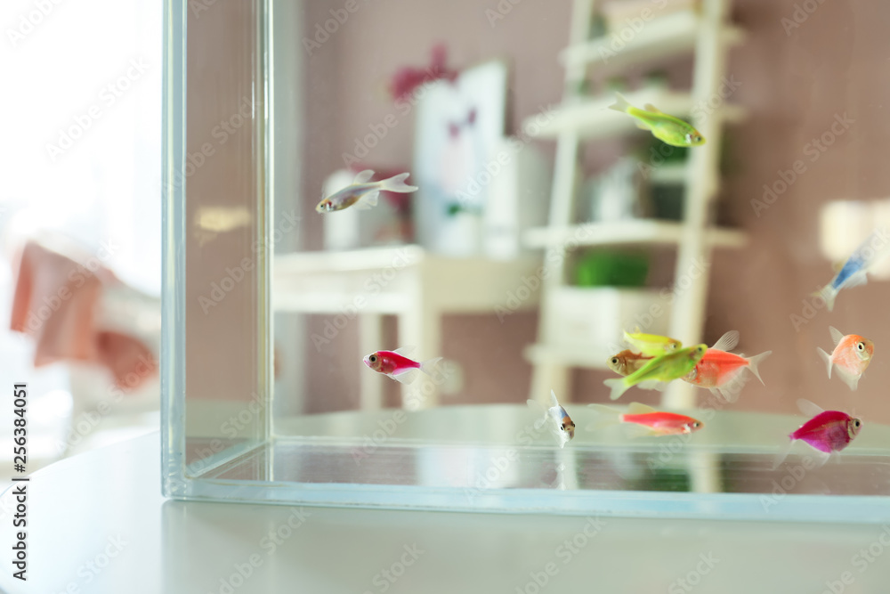 Poster Aquarium on table in room