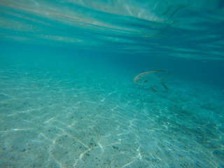 DCIM\101GOPRO\G1322022.