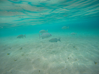 DCIM\101GOPRO\G1372104.