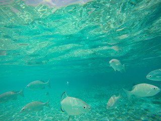 DCIM\101GOPRO\G1392113.