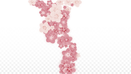 Vector Realistic Pink Flowers Falling on Transparent Background.  Spring Romantic Flowers Illustration. Flying Petals. Sakura Spa Design. Blossom Confetti. Design Elements for Wedding Decoration.