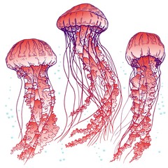 Red jellyfish set. Vector illustration. © JeannaDraw