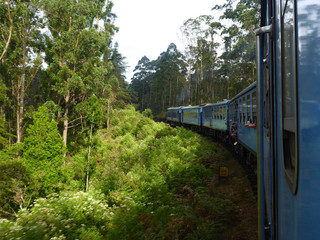 Sri Lanka Train