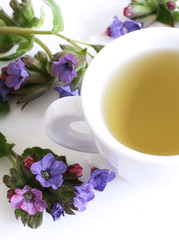 Herbal tea from Pulmonaria officinalis for herbal medicine and the flowers on white wood background. Minimalism. Beautiful spring wildflowers . Edible,healthy.