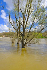debut  inondation saône