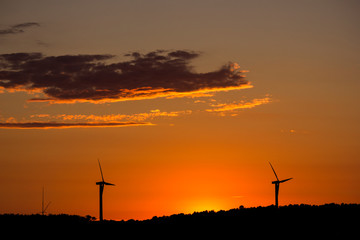 Obraz premium Orange sunset with a silhouette background
