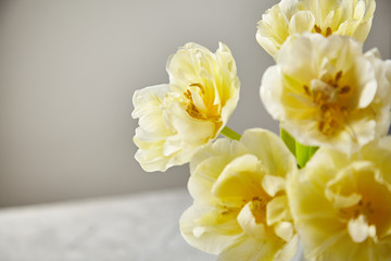 bouquet of yellow tulips