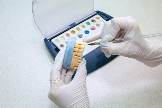 color matching on dentures. Paint brush with palette - Powered by Adobe