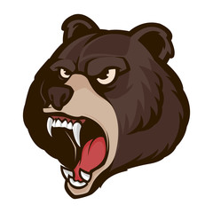angry bear mascot vector illustration
