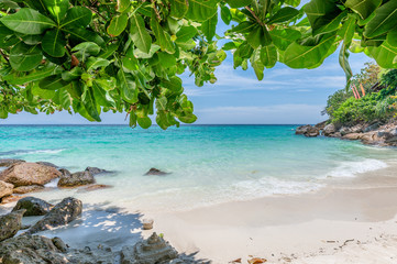 Beautiful white beach with green leaves on tropical sea