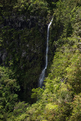 Beautiful waterfall in the rainforest