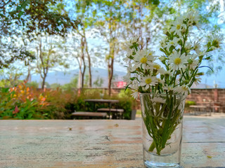 Beautiful flowers in glass vases on wooden table top on blur with garden background