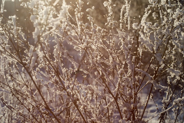 sunny winter morning after storm