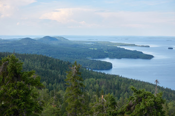 Fototapeta na wymiar Scenic summer landscape view over the lake Pielinen from the top of the UkkoKoli, a fell at the Koli national park in Joensuu, Finland, the land of a thousand lakes.