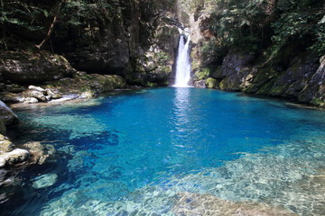 Naklejka premium Tajemniczy basen wodospadu Nikobuchi (Inomachi, prefektura Kochi)