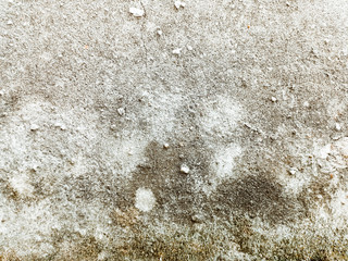 grungy wall Sandstone surface background