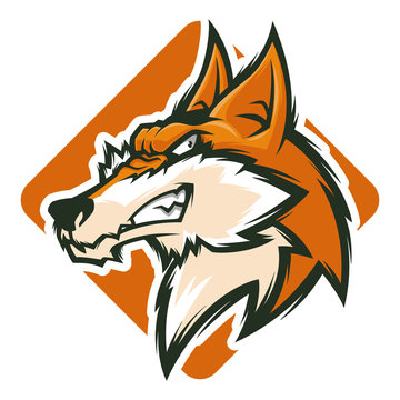angry fox head esports logo vector illustration