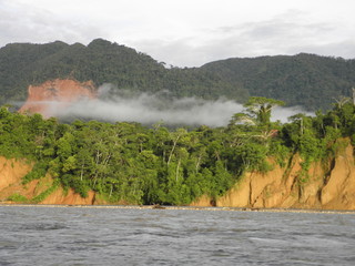 Morgennebel am Amazonas