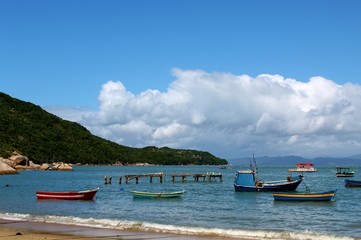 Naklejka na ściany i meble Praia tropical, praia de Canto Grande, Mariscal, cidade de Bombinhas, estado de Santa Catarina, Brasil 