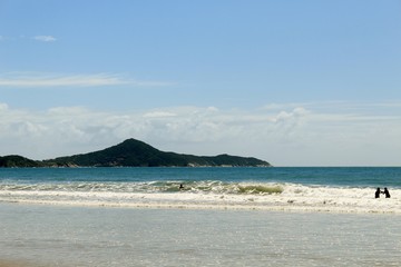 Fototapeta premium Praia tropical, praia de Canto Grande, Mariscal, cidade de Bombinhas, estado de Santa Catarina, Brasil 