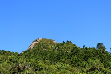 Praia tropical, praia de Canto Grande, Mariscal, cidade de Bombinhas, estado de Santa Catarina, Brasil 