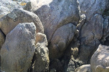 Praia tropical, praia de Canto Grande, Mariscal, cidade de Bombinhas, estado de Santa Catarina, Brasil 