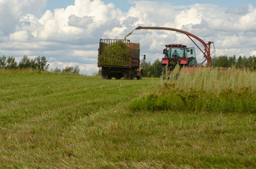 combine harvester working on wheat field