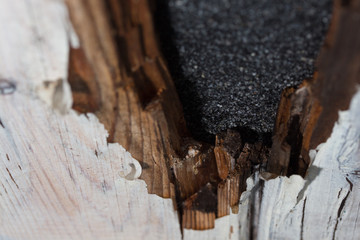 Morsches Holz