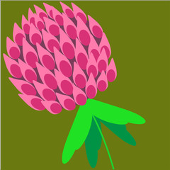 a set of clover leaves, a symbol of luck, a clover flower