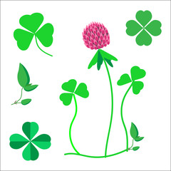 a set of clover leaves, a symbol of luck, a clover flower