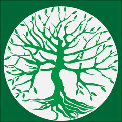 Green tree with roots.